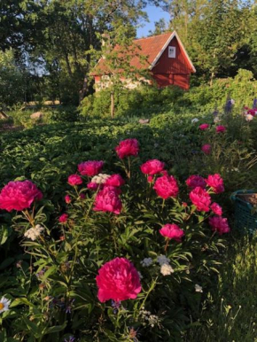Naturnära på Ängaröds 1700-tals gård in Ljungbyhed